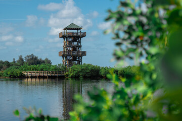 Robinson Preserve Tower in Bradenton, Florida - obrazy, fototapety, plakaty