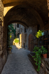 Fototapeta na wymiar Beautiful historic center of Civita di Bagnoregio. Lazio Italy