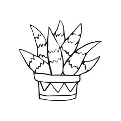 Cactus vector icon set. Cactus illustration sign collection. desert symbol or logo.