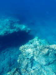 Fototapeta premium Underwater landscape with fishes and wildlife in the Adriatic Sea of Salento, Apulia Italy