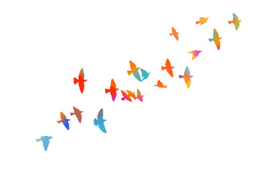 Multi-colored birds. A flock of flying rainbow birds. Vector illustration