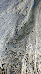 Sand ridges formed by water in Arcachon, France/Crêtes de sable formées par l'eau à Arcachon, France