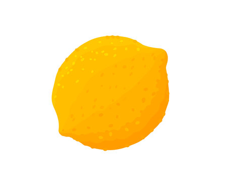 Lemon. The fruit is yellow with a sour taste. Vector illustration.