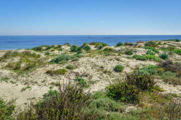 Fototapeta na wymiar Regional Park of the salt flats and sandbanks of the Mar Menor. Murcia. Spain