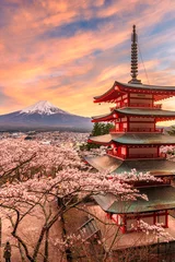 Fotobehang Fuji Mount Fuji en Peace Pagoda in het voorjaar