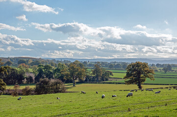 Weobley, Herefordshire in the summertime.