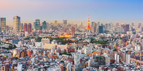 Fototapeta na wymiar Tokyo, Japan Cityscape and Towers at Dusk