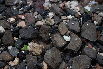 Abstract background with pebbles of various shapes. High quality photos