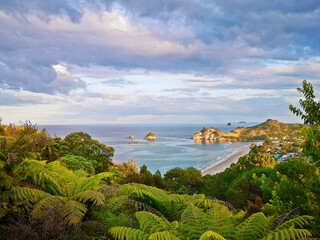 Fototapety  Heavenly shot of the Cathedral Cove beach as seen from above palm trees