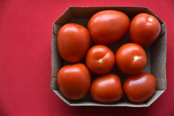 Tomato fruits in a box on the background