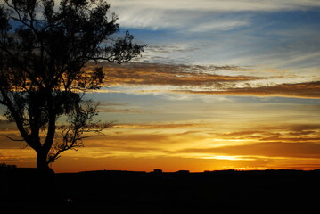 Fototapeta na wymiar sunset in the fields