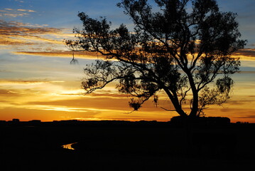 Fototapeta na wymiar sunset on the fields