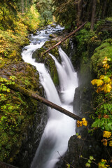 Sol Duc falls, olympic national park, waterfall, logs, rushing water, trees, bushes, 