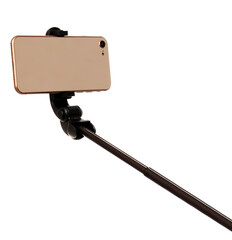 selfie ring lamp with tripod, isolated on white background