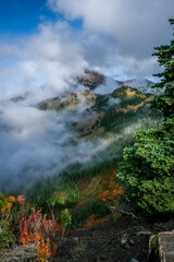 Hurricane Ridge, olympic national park, clouds, trees, mountain top, sky, cloud shrouded