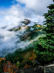 Hurricane Ridge, olympic national park, clouds, trees, mountain top, sky, cloud shrouded 