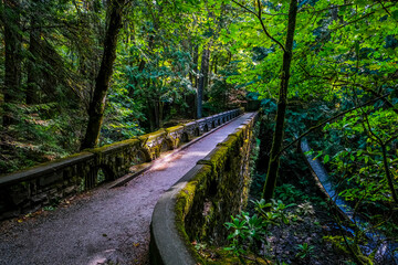 Lake Whatcom, stone bridge, waterfall, woods, forest, nature, moss covered bridge,