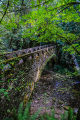 Lake Whatcom, stone bridge, waterfall, trees, nature, woods