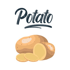 Potatoes isolated on background. Set of wedges, whole, slices, half, rings potatoes. Vector illustration top view