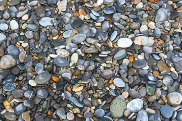 colored sea pebbles on a rocky beach close-up