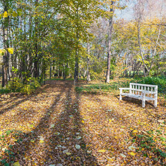 comfortable wooden bench in sunny autumn park in Pushkin mountains, Pskov, Russia