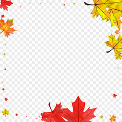 Golden Leaves Background Transparent Vector. Plant Shape Illustration. Brown Decoration Floral. Collection Foliage Design.