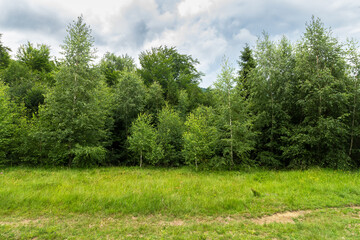 green nature landscape in summer. trees on the grassy hills and meadows. bright sky with clouds. beautiful environment background