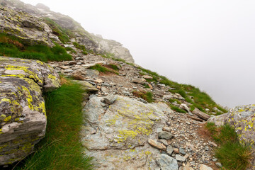 steep slopes of fagaras mountains in fog. huge rocks on grassy hills. travel romania in summer