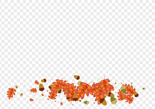 Orange Leaf Background Transparent Vector. Oak Image Design. Green Acorn. Autumn Texture. Brown Leaves October.