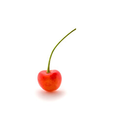 Photo of red cherries with tails isolated on white background