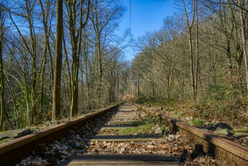 Fototapeta premium Straßenbahn-Strecke im Wald im Kaltenbachtal