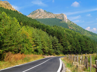 Road through the mountains landscape