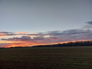 Herrlicher Sonnenuntergang. Die Natur versinkt in Dunkelheit. In der Ferne sieht man Silhouetten von verzweigten Laubbäumen ohne Blätter. Das Tageslicht verblasst am Horizont. Die Dunkelheit im Morgen