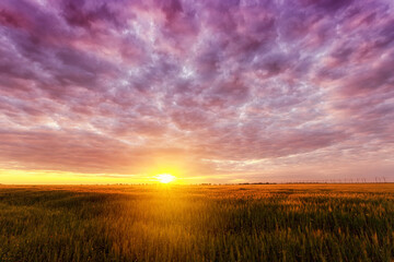 A beautiful sunset with clouds and a field in the foreground