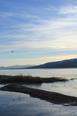 Obraz premium Flying over the water