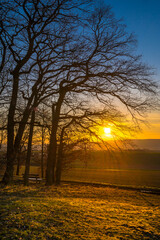 H&uuml;nfelden, Hessen, Deutschland, Eichen im Sonnenunergang