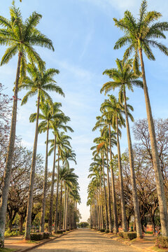 Pra&ccedil;a da Liberdade/Liberty Square, in Belo Horizonte, Minas Gerais, Brazil.