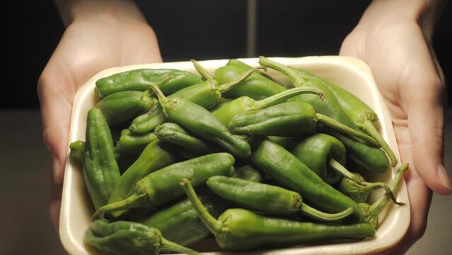 Traditional Spanish padrons, green peppers close-up, tapas, catalan dish. Hands holding bowl with fresh spicy vegetables. 