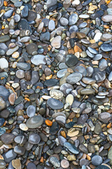 colored sea pebbles on a rocky beach close-up