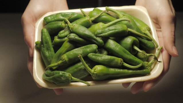 Traditional Spanish padrons, green peppers close-up, tapas, catalan dish. Hands holding bowl with fresh spicy vegetables. 