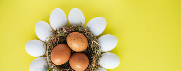 colors painted  yellow easter eggs  on yellow background	
