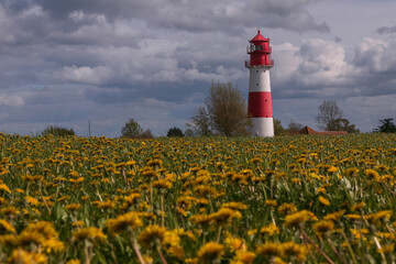 Leuchtturm Falshöft, Geltinger Birk, Schleswig-Holstein	