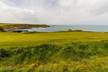 Fototapeta na wymiar Grassy golf course by the sea.
