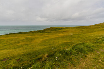 Obraz premium Grassy golf course by the sea, landscape.