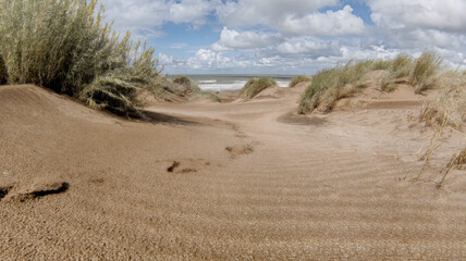 view of the ocean from a sand dune with some vegetation. Blue sky with white clouds.