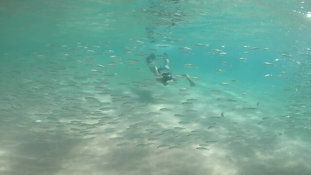 A man snorkeling among a sardine shoal in the clear waters of Sancho Bay Beach, Fernando de Noronha, Brazil