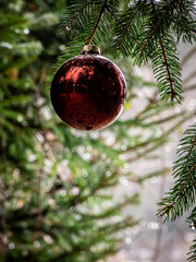 Christbaumkugel h&auml;ngend an Ast