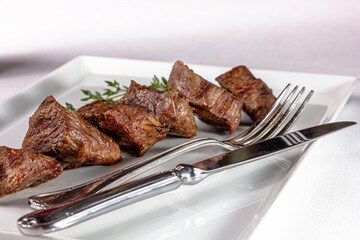 Beef kebab with tomato sauce with vegetables is on a plate