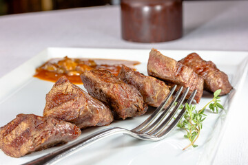 Beef kebab with tomato sauce with vegetables is on a plate