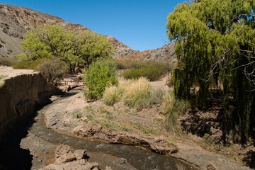 Narrow creek across the desert in natural reserve El Leoncito, located in the province of San Juan, Argentina. - obrazy, fototapety, plakaty